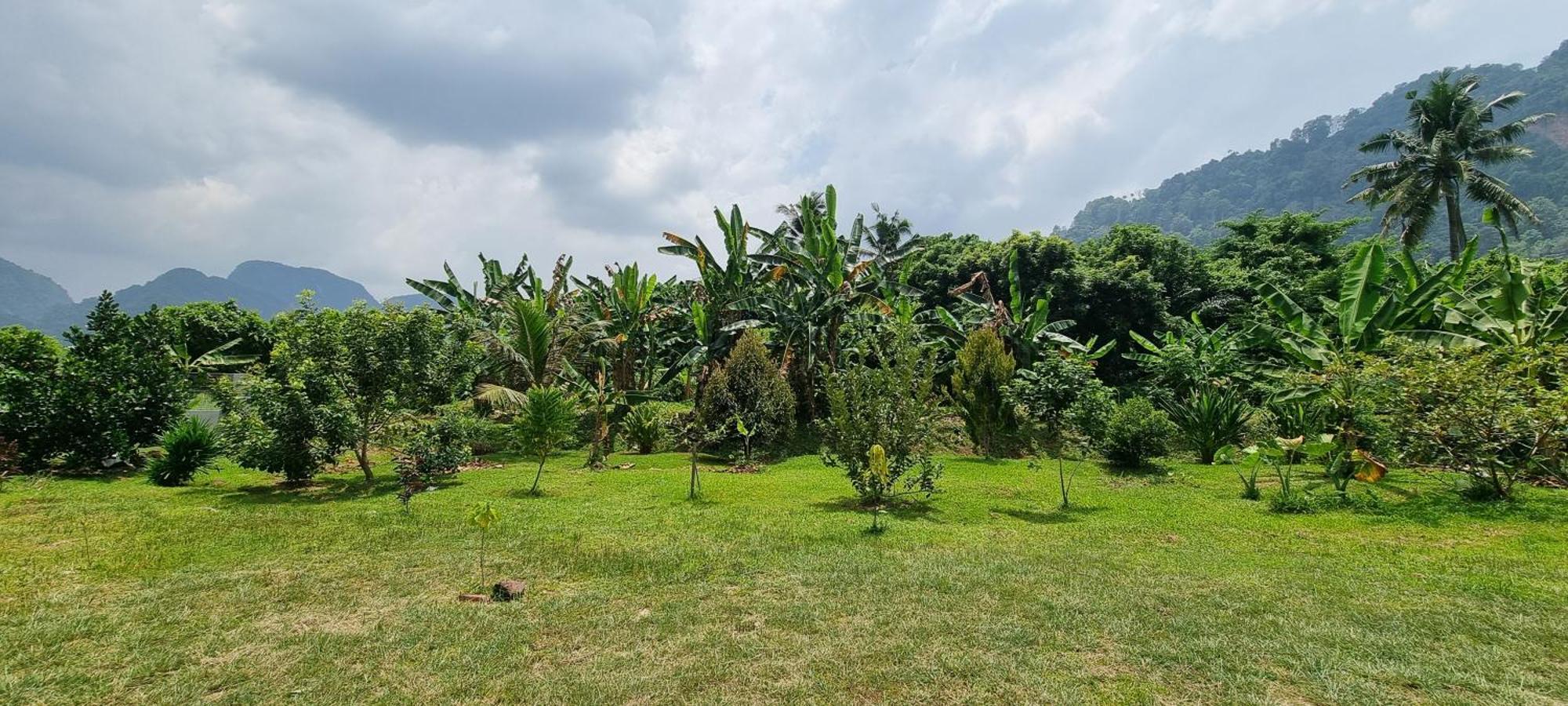 Tambun Hillview Cottage 1 Exterior foto